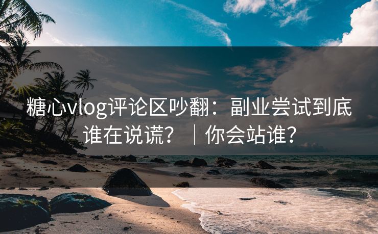 糖心vlog评论区吵翻：副业尝试到底谁在说谎？｜你会站谁？